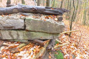 Entfernung einiger historischer Grenzsteine und deren widerrechtlicher Nutzung als Material für den Bau eines Hindernisparcours. 