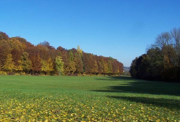 Herbststimmung im Lindental