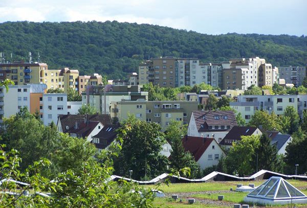 Blick auf die Pfaffenäcker (2010)